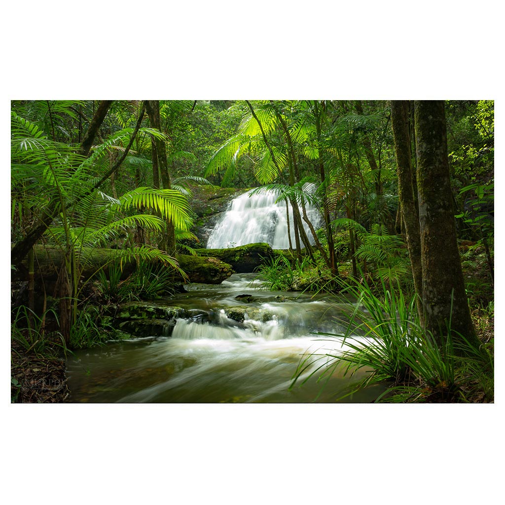 O'Sullivans Falls, Mid-North Coast NSW.