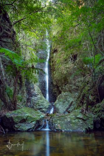 Waterfall Photography